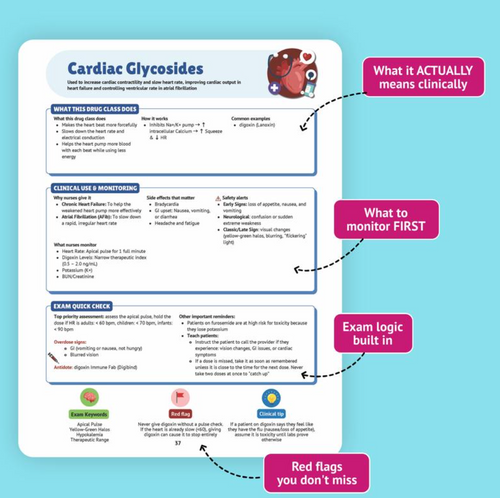 The Essential Pharmacology Guide for Nursing Students - Written by a Nurse Practitioner, NCLEX Prep
