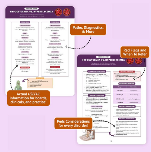 The Essential Family Nurse Practitioner Guide - Core Concepts for Success In School, Clinicals & Practice