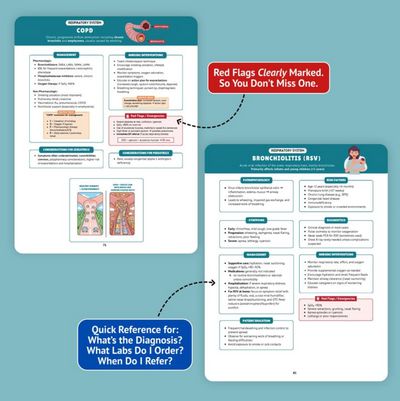 The Essential Family Nurse Practitioner Guide - Core Concepts for Success In School, Clinicals & Practice